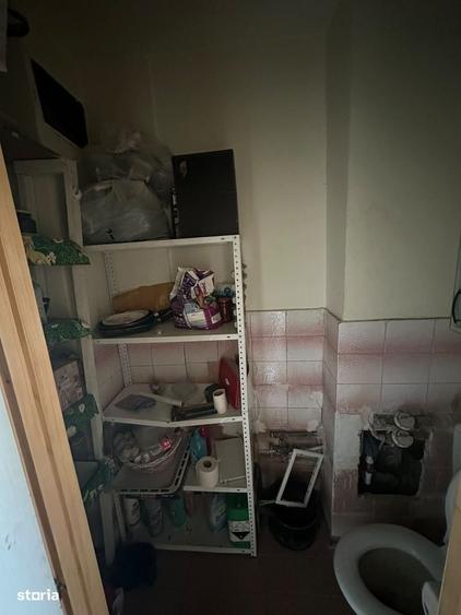 Garsonieră în Roșu