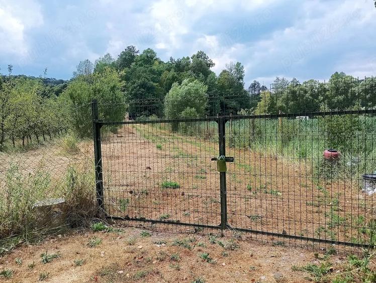 Teren de 3000 mp, în Ezeriș