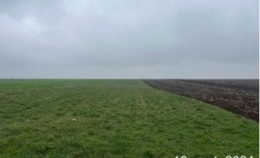 Teren de 29700 mp, în Frăsinet