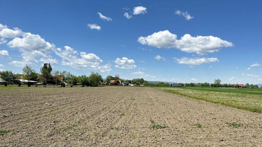 Teren Construcții intravilan de 6772 mp, în Prejmer