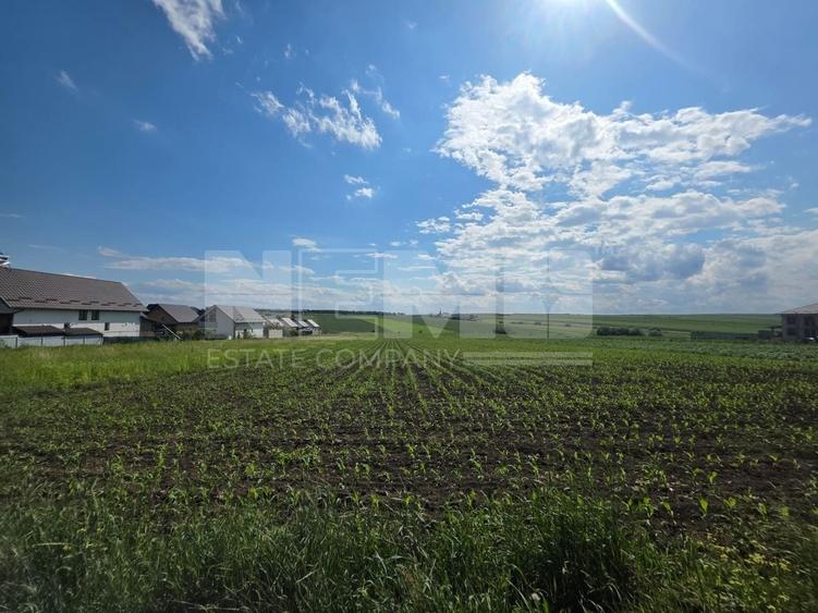 Teren Construcții intravilan de 5000 mp, în Sfântu Ilie