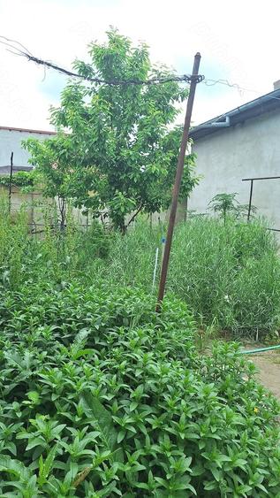 Casa de vanzare in Giurgiu - 2