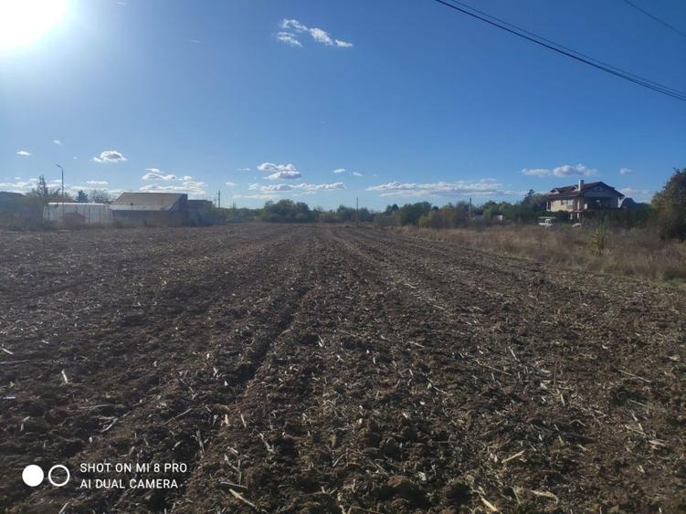 Teren Construcții intravilan de 4015 mp, în Ghermănești