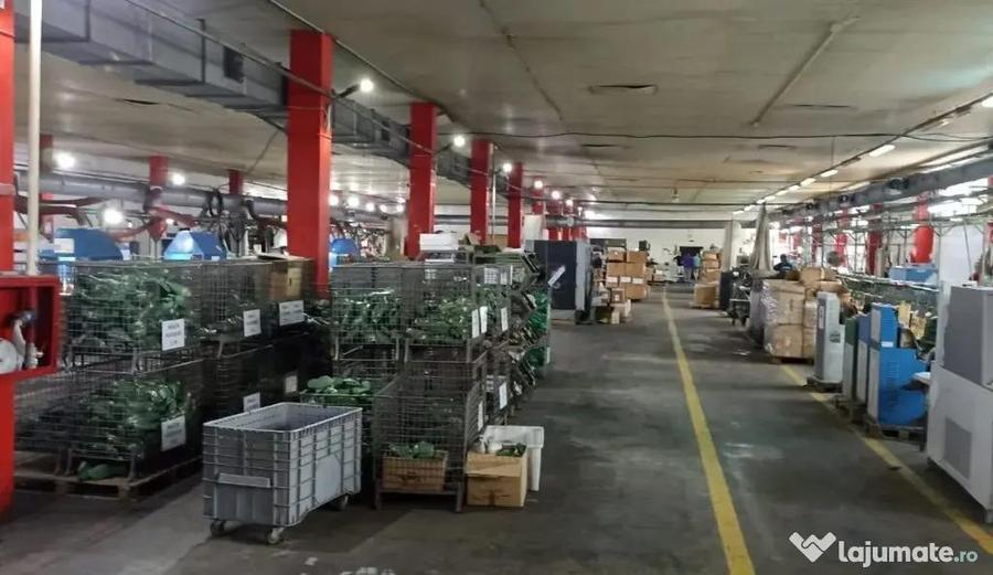 Apartament în Central