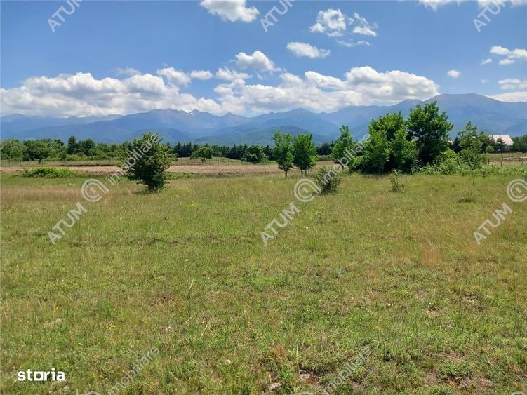 Spațiu comercial, în Avrig