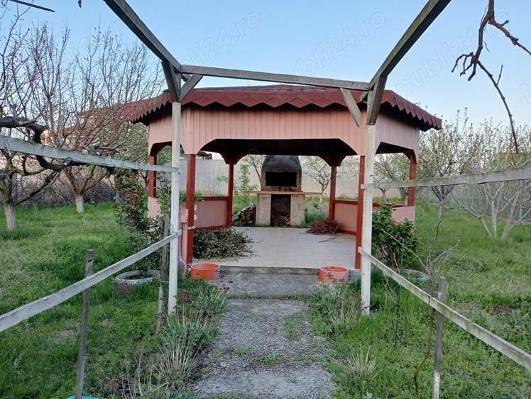 Casuta la mare cu mult teren - 6