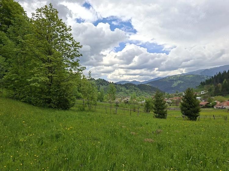 Teren investitii zona rurala - 9