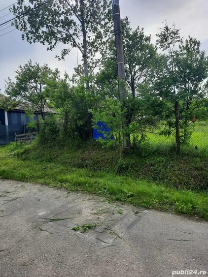 Teren de 1800 mp, în Central