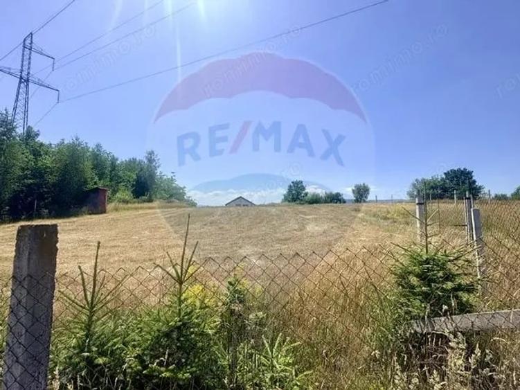 Casă cu Teren 3177 Mp în Ferești