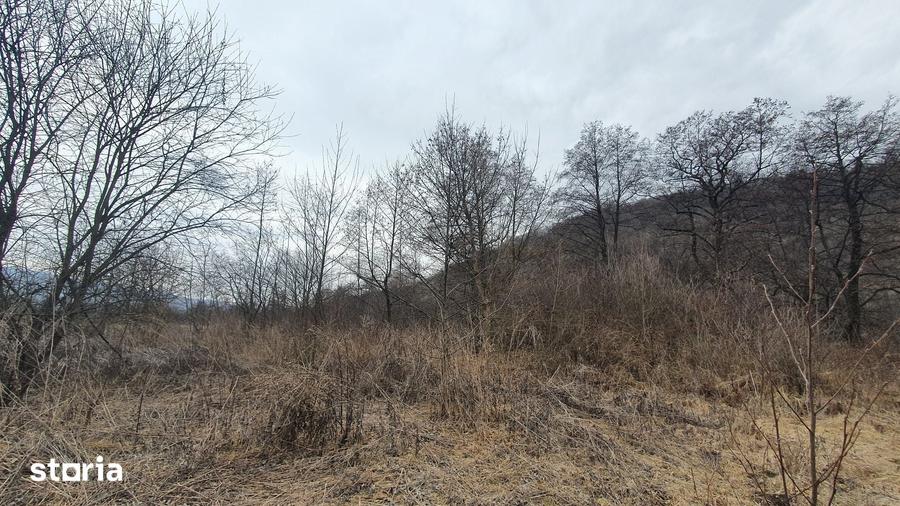 Teren de 2800 mp, în Sovata
