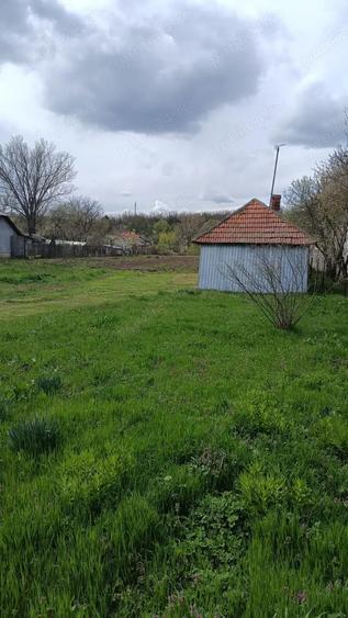 Teren de 4629 mp, în Negreni