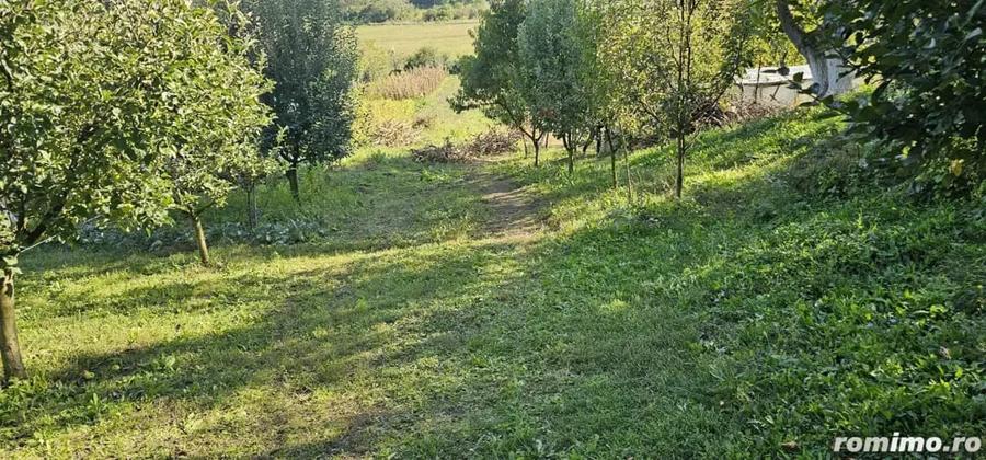 Teren de 3600 mp, în Florești