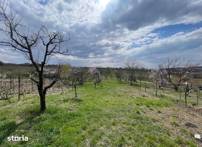 Casă cu 2 camere cu Teren 2052 Mp în Paleu