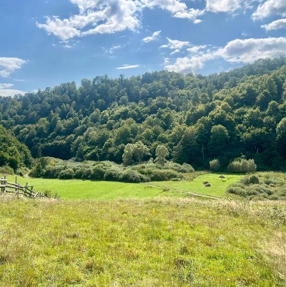 Teren extravilan 60 ari in Ro?ia, Bihor Langa parau, ideal pentru glamping, cabane sau ferma - 4