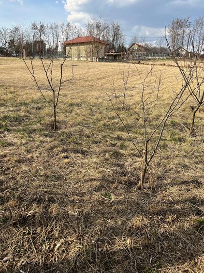 Teren Construcții intravilan de 919 mp, în Central