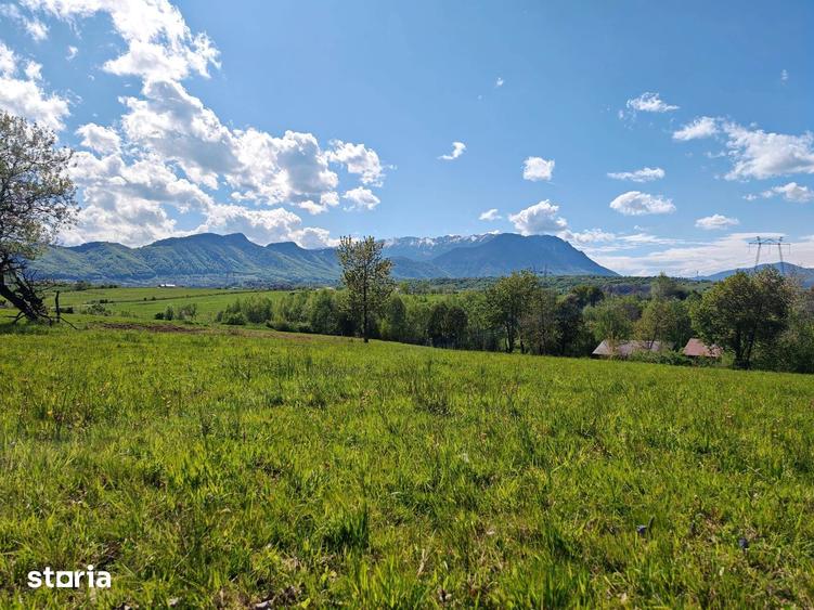 Teren de 5967 mp, în Glăjărie