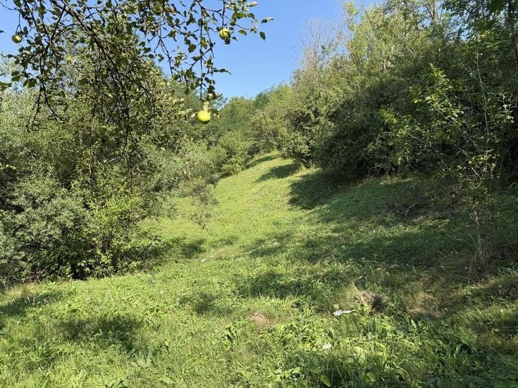 Teren intravilan 4.128 mp Ocolis Alba priveliste superba curent la proprietate - 1