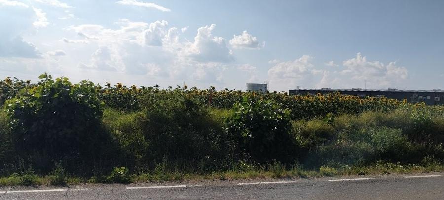 Teren de 14000 mp, în Miroslava