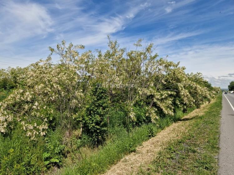 Teren de vânzare, 900 mp, Drumul European – Isalnița