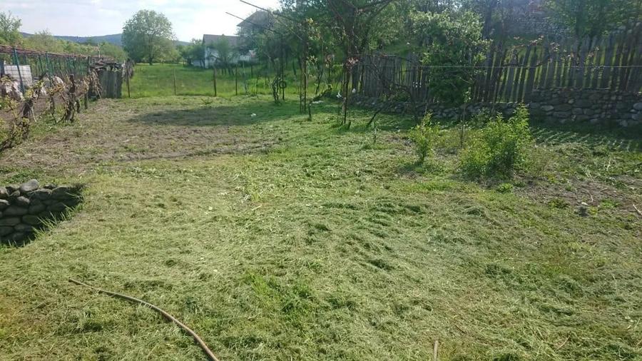 Casă cu 3 camere în Sud