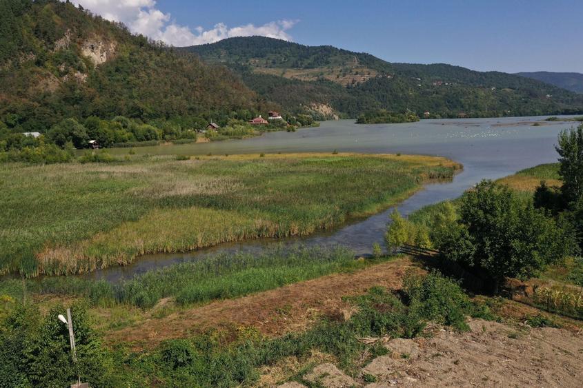 Teren Construcții intravilan de 2587 mp, în Pângărați