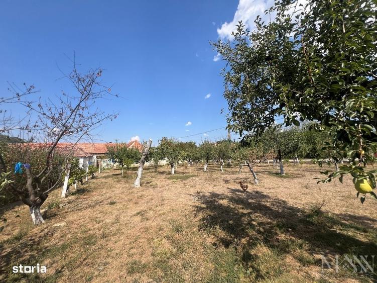 Teren intravilan de vanzare | Tileagd | jud. Bihor - 2