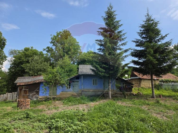 Casă individuală cu 4 camere cu Teren 3686 Mp în Buciumi