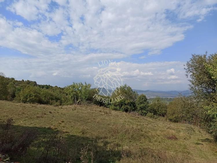 Teren agricol extravilan de 42200 mp, în Est