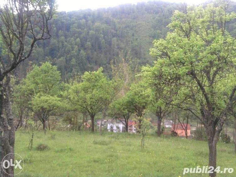 Teren de 5050 mp, în Voineasa