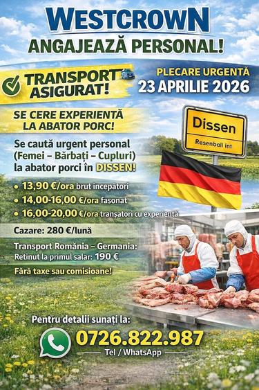 Casă cu 1 camere cu Teren 2 Mp în Central