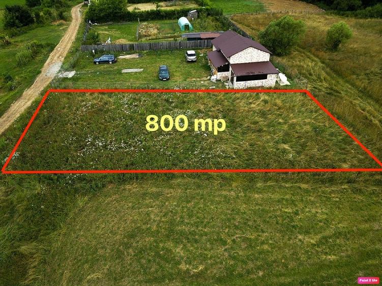 Teren de 800 mp, în Cărpiniș