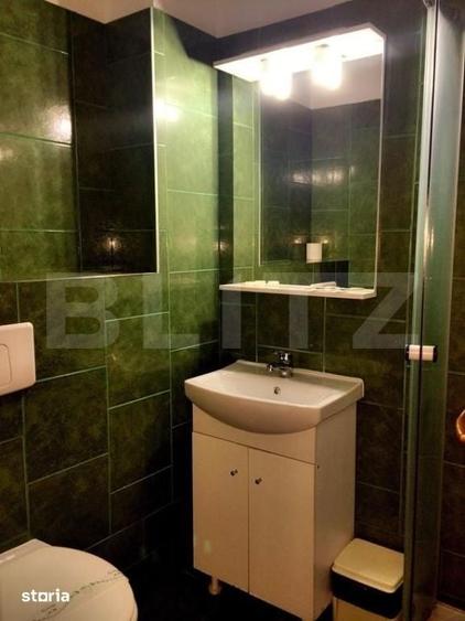 Spațiu comercial, de 450 mp, în Lugojului