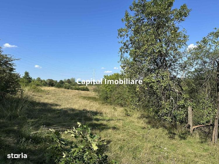 Spațiu comercial, în Calea Caransebeșului