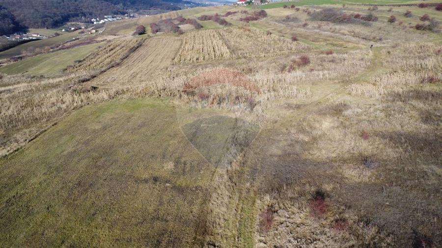 Teren agricol extravilan de 68403 mp, în Popești