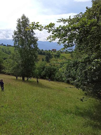 Teren de 500 mp, în Măgura
