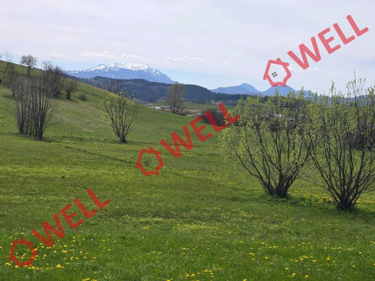 Teren agricol extravilan de 6519 mp, în Sărămaș