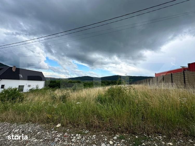 Teren de 2500 mp, în Viișoara