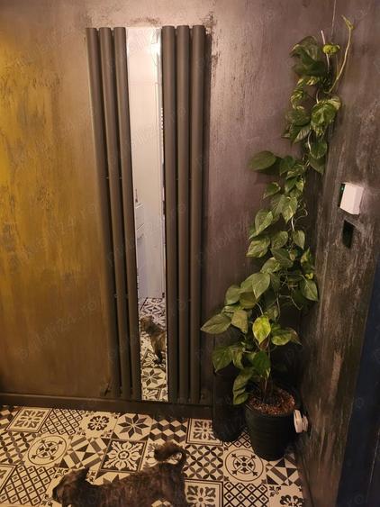 Casă cu 5 camere cu Teren 422 Mp în Bascov