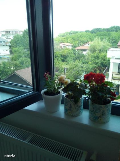 Garsonieră decomandată în Chiajna