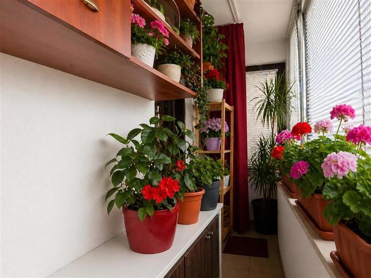 Apartament cu 2 camere decomandat, mobilat în Aeroport