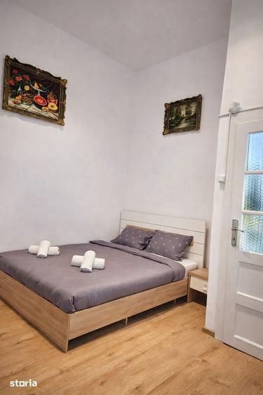 Apartament 1 Camera De Inchiriat | Ultracentral | Piata Unirii | UMF - 4
