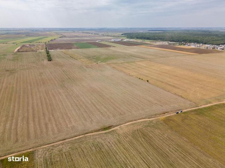 Dascalu - Teren Intravilan 7500 Mp, Investitie! - 1