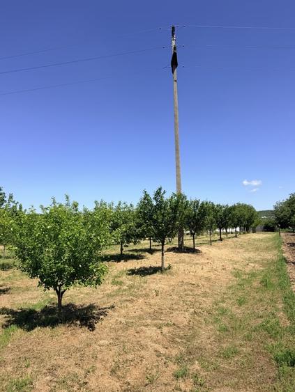 Casă individuală cu 6 camere cu Teren 3000 Mp în Exterior Nord