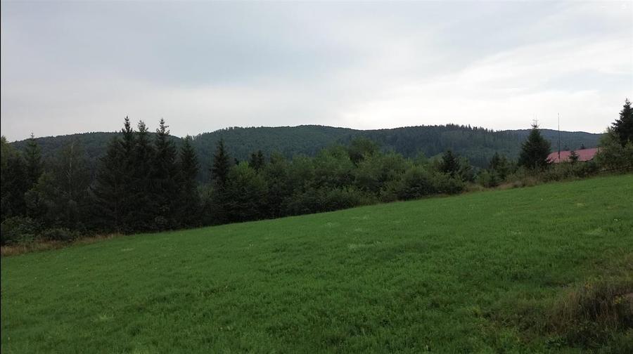 Teren Construcții intravilan de 5023 mp, în Voroneț
