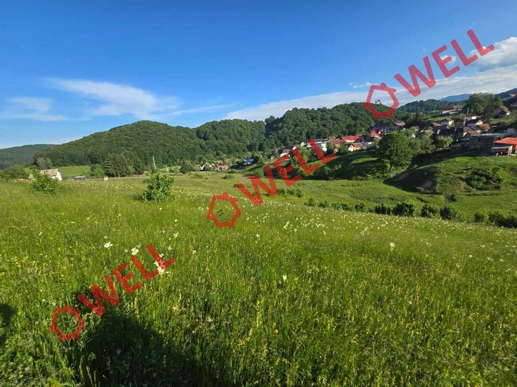 Teren extravilan de 8163 mp, în Acriș