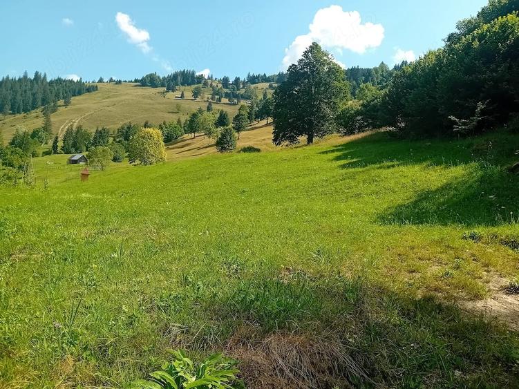 Teren de 5800 mp, în Dămuc