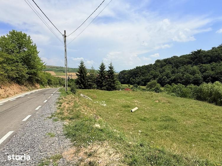 Teren de 2500 mp, în Sântana de Mureș