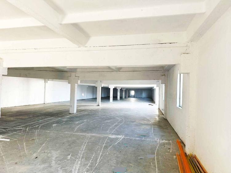Spațiu industrial, de 250 mp, în Aluniș