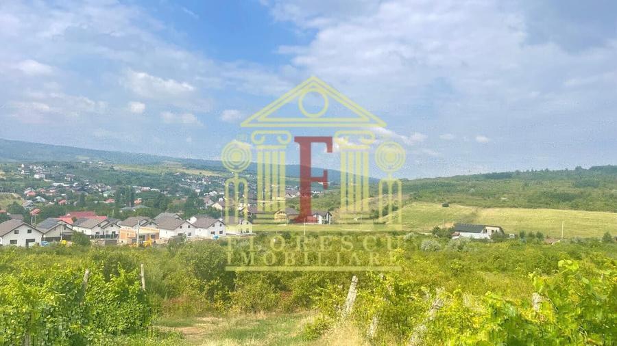 Teren Construcții intravilan de 7500 mp, în Tomești