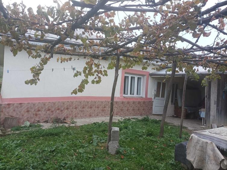 Casă cu 3 camere în Central